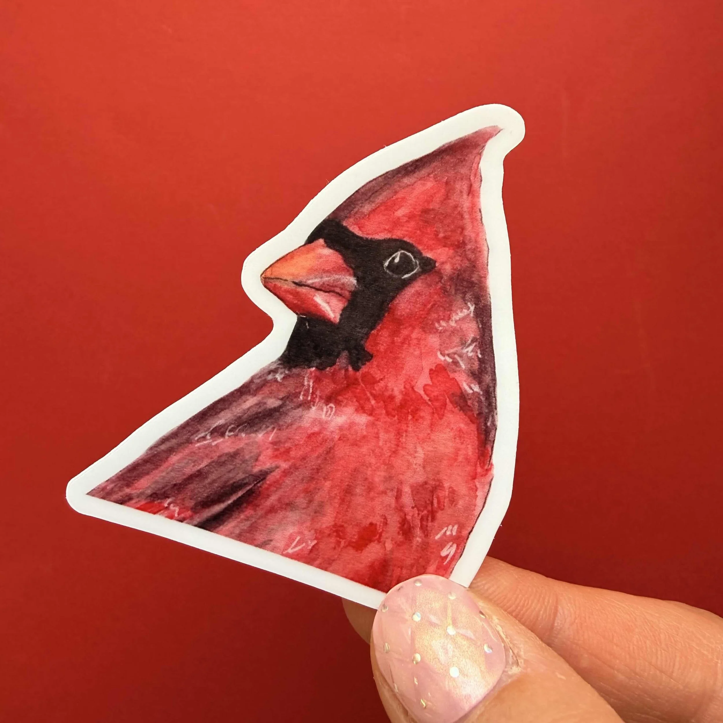 Cardinal Bird Sticker Red Bird Decal, Wildlife Nature Sticker